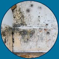 Miami Water Damages Miami, FL 786-319-9585 - sd-bar-mold